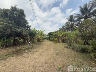 For sale land in Pai, Mae Hong Son