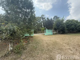 For sale land in Pai, Mae Hong Son