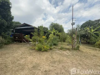 For sale land in Pai, Mae Hong Son
