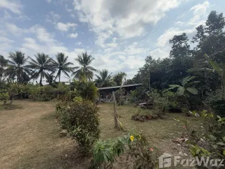 For sale land in Pai, Mae Hong Son