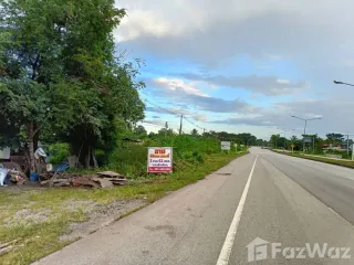 For sale land in Phu Kradueng, Loei