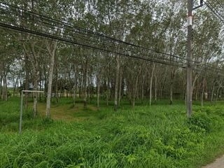 For sale land in Thalang, Phuket