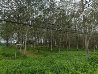 For sale land in Thalang, Phuket