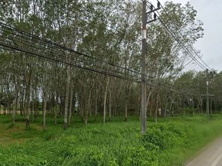 For sale land in Thalang, Phuket