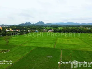 For sale land in Bueng Sam Phan, Phetchabun