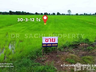 For sale land in Bueng Sam Phan, Phetchabun