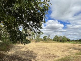 For sale land in Mueang Yasothon, Yasothon
