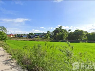 For sale land in Sena, Phra Nakhon Si Ayutthaya