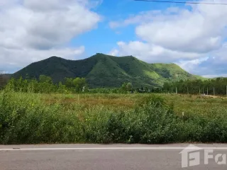 For sale land in Tha Yang, Phetchaburi