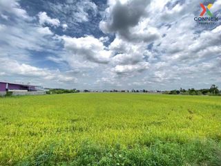 ขาย 1 เตียง ที่ดิน ใน สามโคก, ปทุมธานี