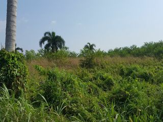 For sale land in Bang Lamung, Chonburi