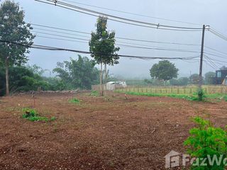 For sale land in Chiang Dao, Chiang Mai