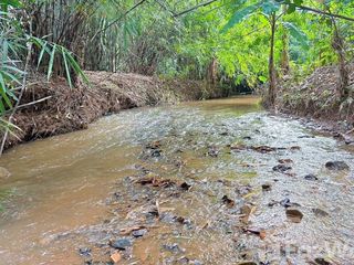 For sale land in Chiang Dao, Chiang Mai