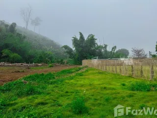 For sale land in Chiang Dao, Chiang Mai