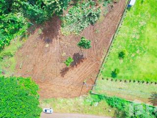 For sale land in Chiang Dao, Chiang Mai