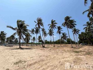For sale land in Thap Sakae, Prachuap Khiri Khan