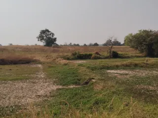 For sale land in Kham Thale So, Nakhon Ratchasima