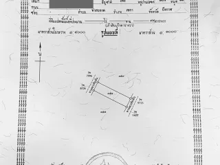 For sale land in Seka, Bueng Kan