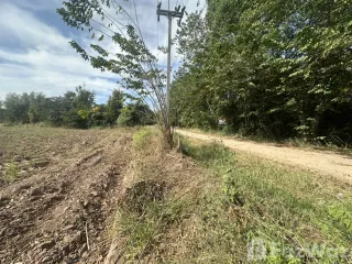 For sale land in Kham Thale So, Nakhon Ratchasima