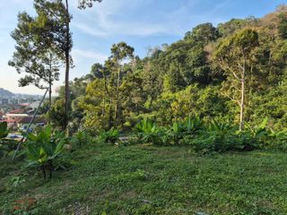 For sale land in Kathu, Phuket