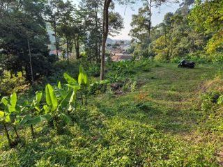 For sale land in Kathu, Phuket
