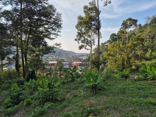 For sale land in Kathu, Phuket