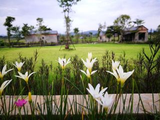For sale 12 bed hotel in Mae Taeng, Chiang Mai