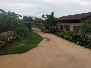 For sale 4 Beds house in Selaphum, Roi Et