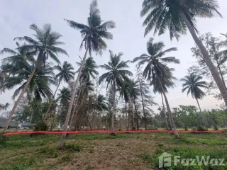 For sale land in Bang Saphan Noi, Prachuap Khiri Khan