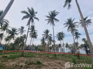 For sale land in Bang Saphan Noi, Prachuap Khiri Khan