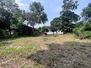 For sale land in Ko Samui, Surat Thani