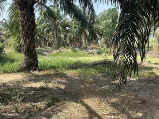 For sale land in Cha Am, Phetchaburi