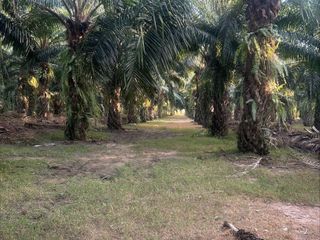 For sale land in Cha Am, Phetchaburi