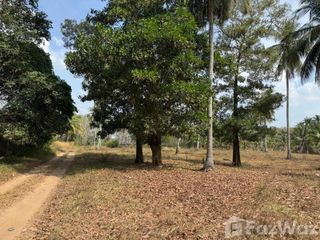 For sale land in Thai Mueang, Phang Nga