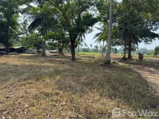 For sale land in Thai Mueang, Phang Nga