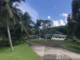For sale land in Thalang, Phuket