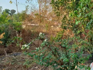 For sale land in Phanom Sarakham, Chachoengsao