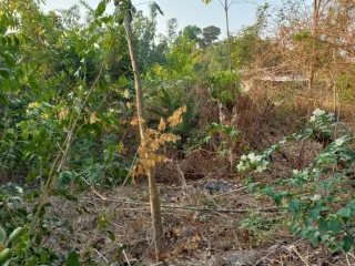 For sale land in Phanom Sarakham, Chachoengsao