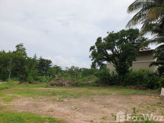 For sale land in Takua Pa, Phang Nga