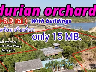 For sale 8 bed house in Khao Saming, Trat