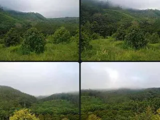For sale land in La-un, Ranong