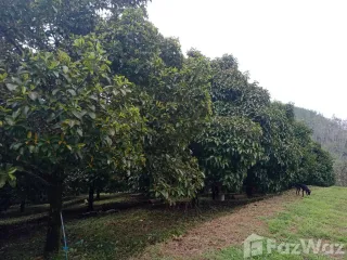 For sale land in La-un, Ranong