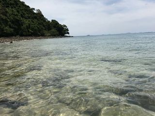 For sale land in Ko Yao, Phang Nga