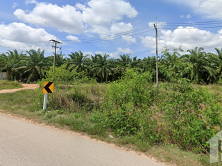 ขาย ที่ดิน ใน เมืองชุมพร, ชุมพร