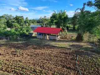 For rent 3 bed house in Doi Luang, Chiang Rai