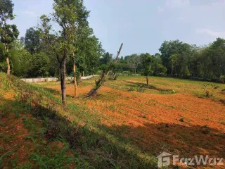 For sale land in Mae Sai, Chiang Rai