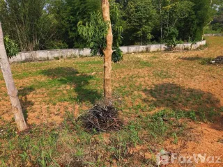 For sale land in Mae Sai, Chiang Rai