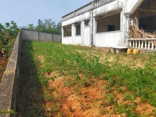 For sale land in Mae Sai, Chiang Rai
