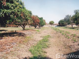 For sale land in Mueang Nong Khai, Nong Khai