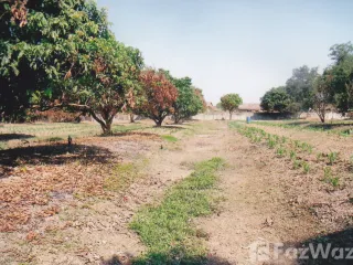 For sale land in Mueang Nong Khai, Nong Khai